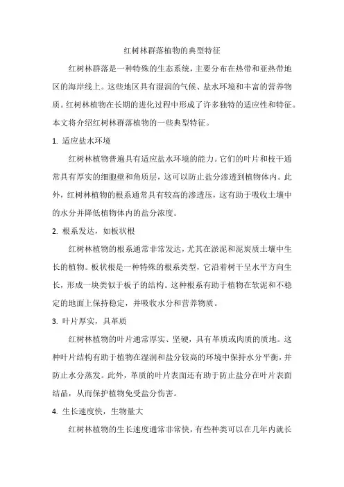 红树林群落植物的典型特征