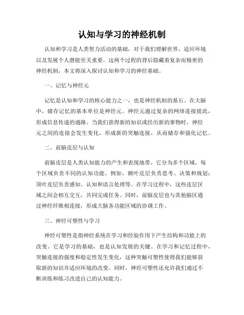 认知与学习的神经机制