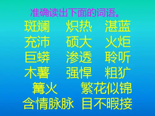 《彩色的非洲》课件