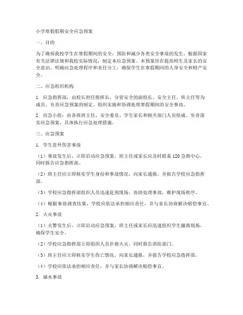 小学寒假假期安全应急预案