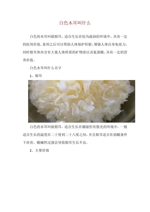 白色木耳叫什么