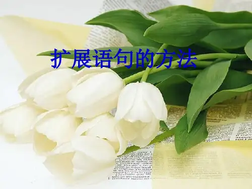 扩展语句的方法