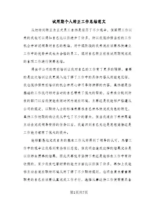 试用期个人转正工作总结范文(五篇)