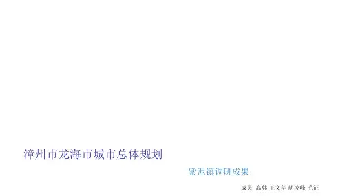 漳州市龙海市城市总体规划