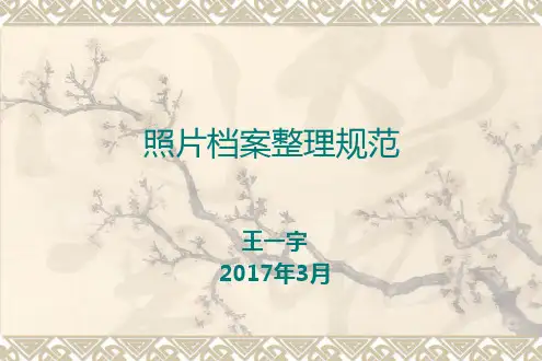 2017年照片档案整理规范