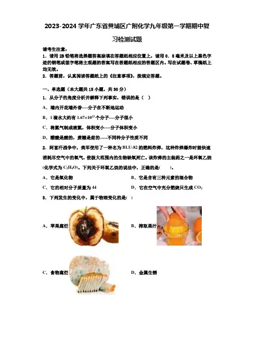 2023-2024学年广东省黄埔区广附化学九年级第一学期期中复习检测试题含解析