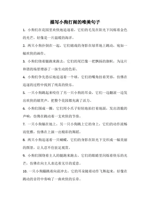 描写小狗打闹的唯美句子