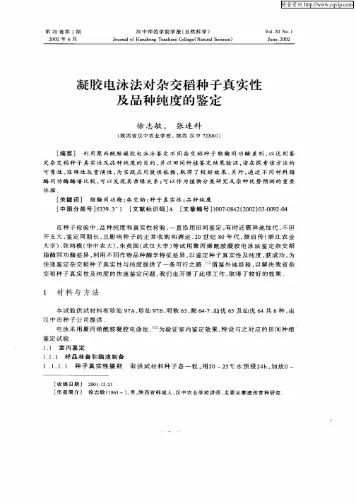 凝胶电泳法对杂交稻种子真实性及品种纯度的鉴定