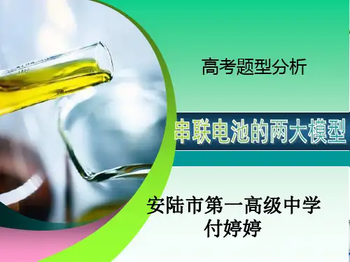 串联电池的两大模型PPT课件
