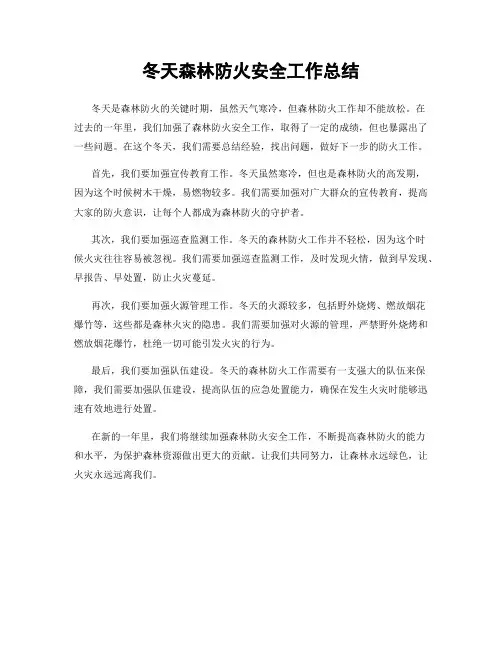 冬天森林防火安全工作总结
