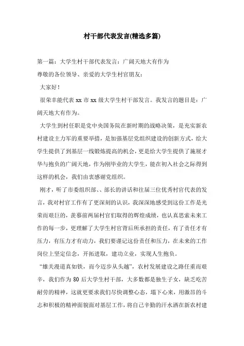 村干部代表发言(精选多篇)