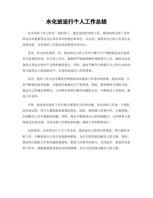 水化班运行个人工作总结