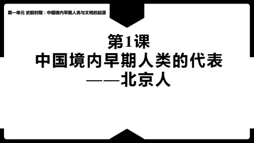 《中国早期人类的代表—北京人》PPT优质教学课件