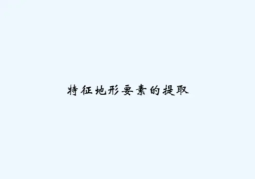 特征地形要素的提取