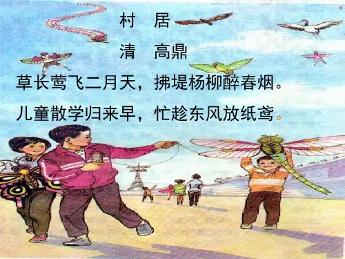 《理想的风筝》ppt