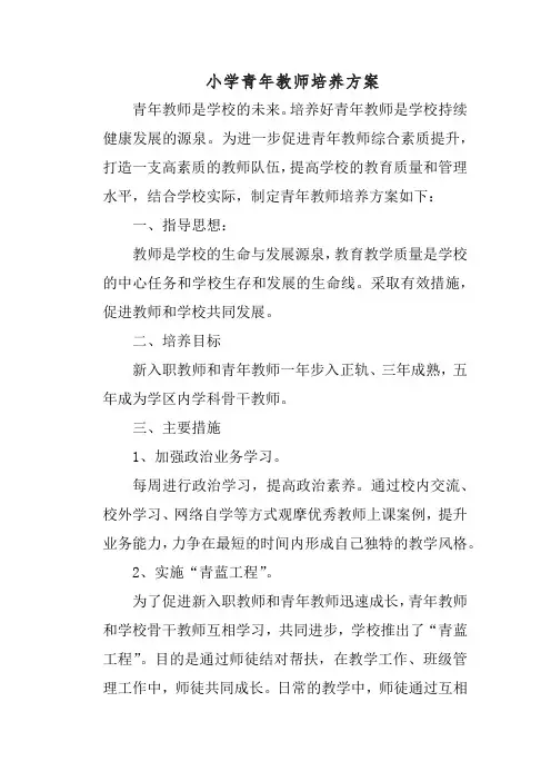 小学青年教师培养方案
