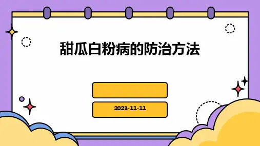 甜瓜白粉病的防治方法