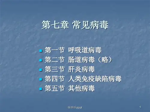 第七章 常见病毒ppt课件