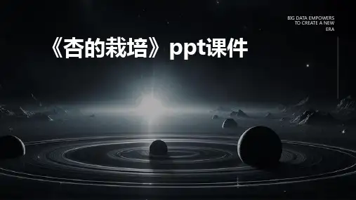 《杏的栽培》课件