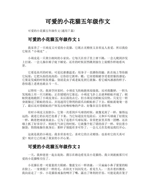 可爱的小花猫五年级作文