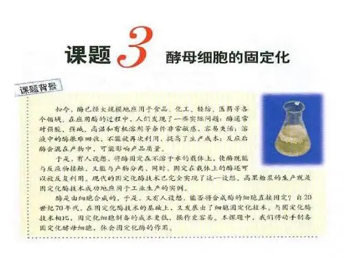 高二生物酵母细胞的固定化(教学课件201908)