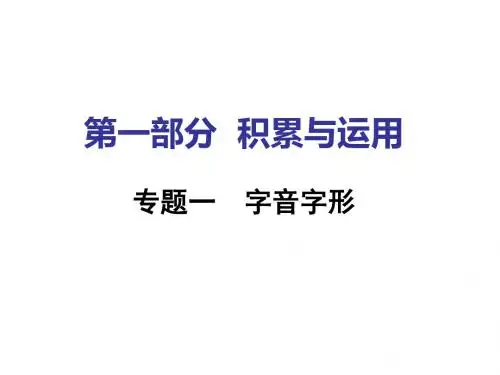  湖南中考面对面语文课件 第一部分   专题一  字音字形