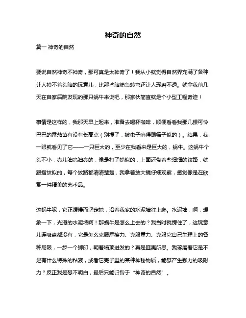 作文《神奇的自然》