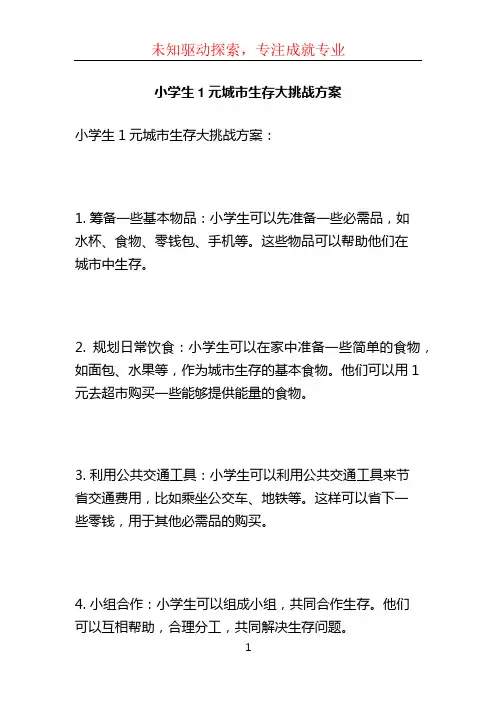 小学生1元城市生存大挑战方案 (8)