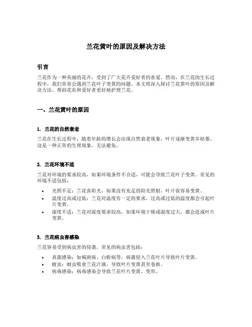 兰花黄叶的原因及解决方法
