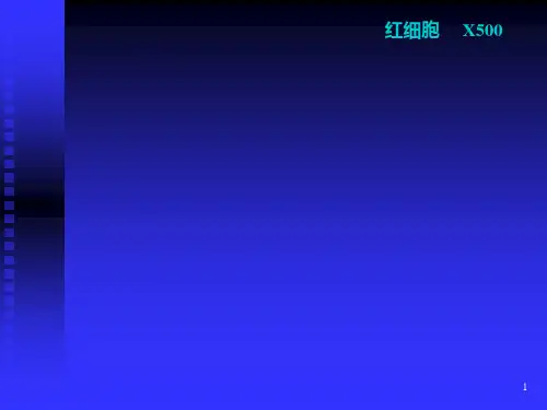 新编生物细胞各类细胞电镜图PPT课件