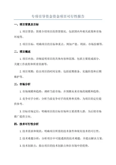 专项引导资金资金项目可行性报告