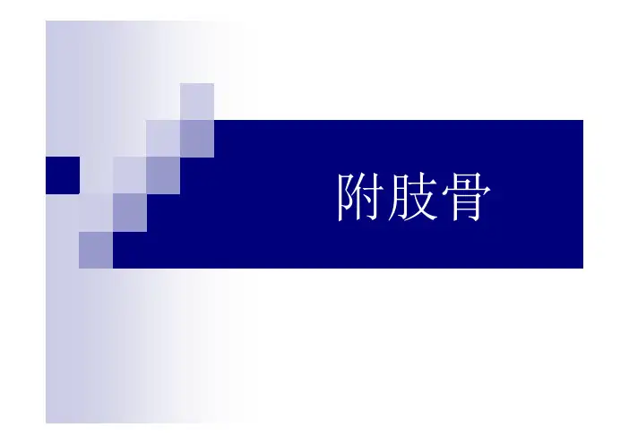 附肢骨