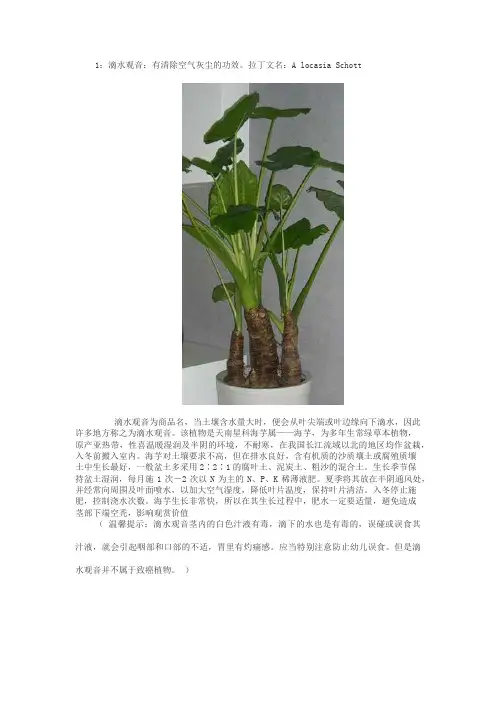 观赏植物
