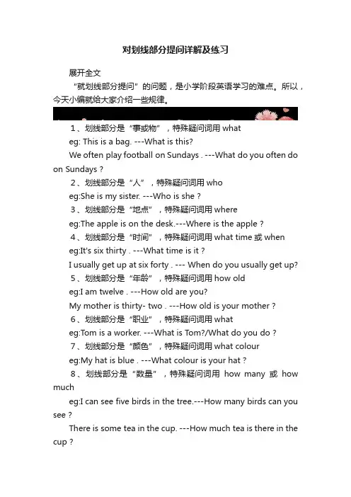 对划线部分提问详解及练习
