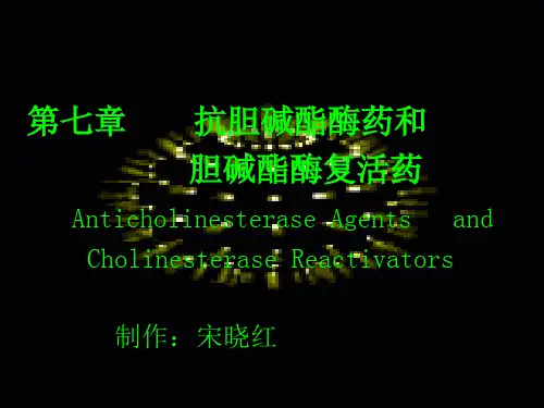 乙酰胆碱酯酶