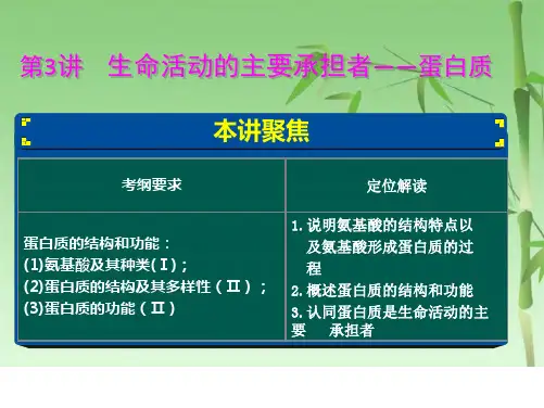 高三生物一轮复习生命活动的主要承担者-蛋白质(共27张PPT)