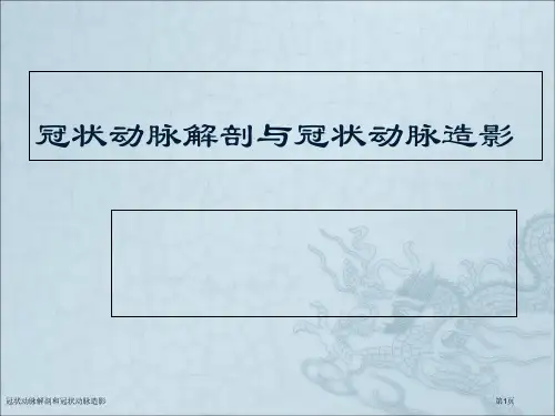 冠状动脉解剖和冠状动脉造影
