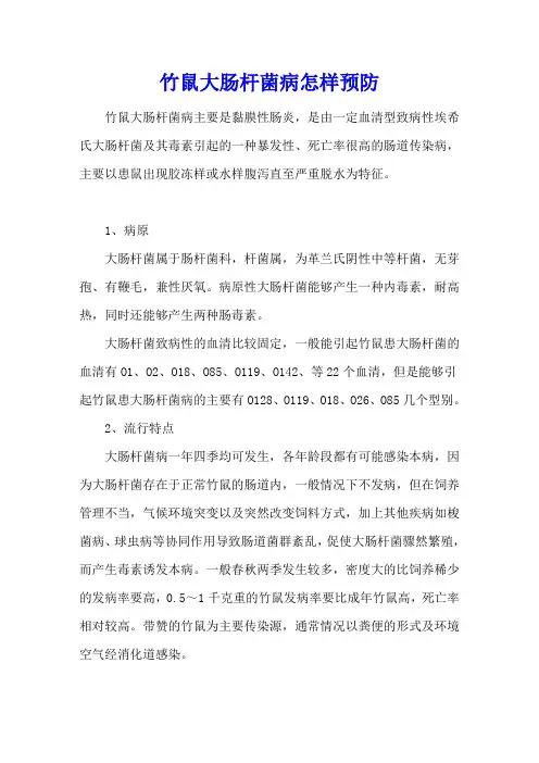 竹鼠大肠杆菌病怎样预防