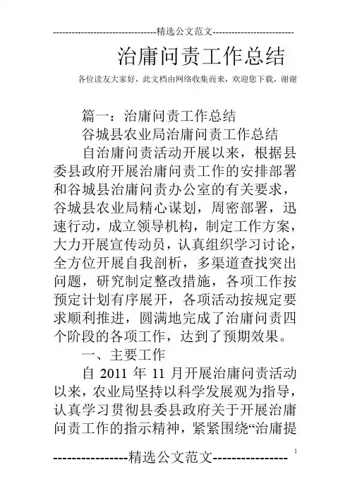 治庸问责工作总结