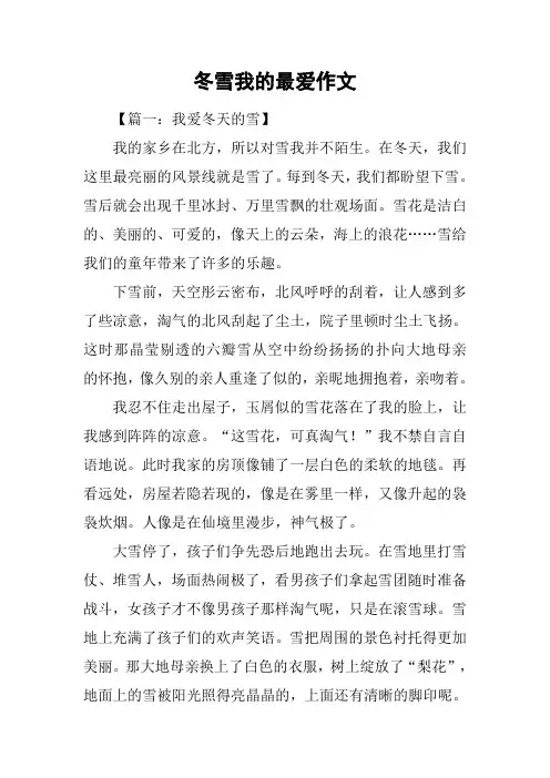 冬雪我的最爱作文