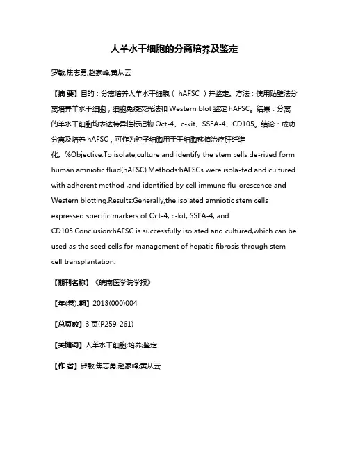 人羊水干细胞的分离培养及鉴定