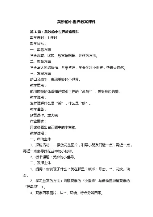 美妙的小世界教案课件
