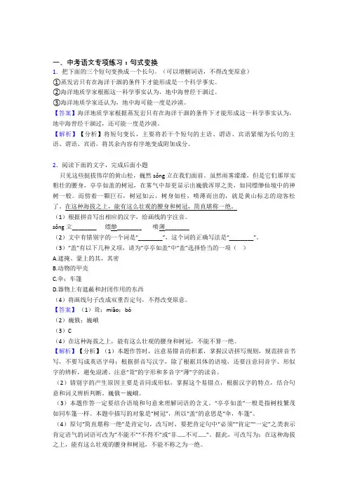 人教版中考语文句式变换解题方法和技巧及习题训练含答案