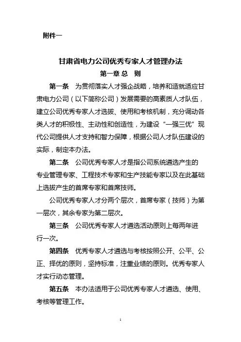 (2010定稿)甘肃省电力公司优秀专家人才管理办法