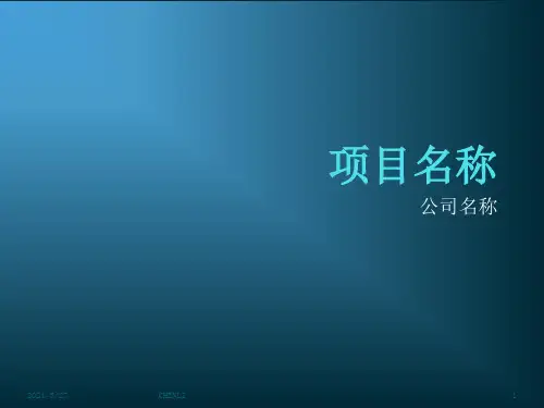 项目路演PPT模版