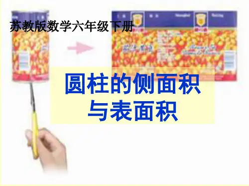 苏教版小学数学六年级下册《第二单元圆柱和圆锥：2.圆柱的表面积》PPT3