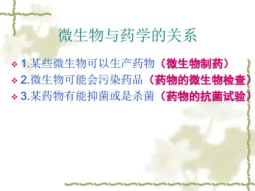药物的体外抗菌试验