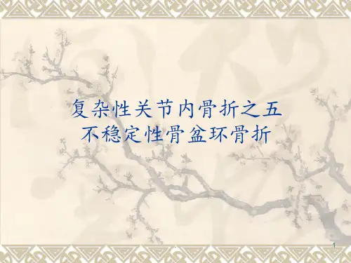 不稳定性骨盆环骨折PPT课件