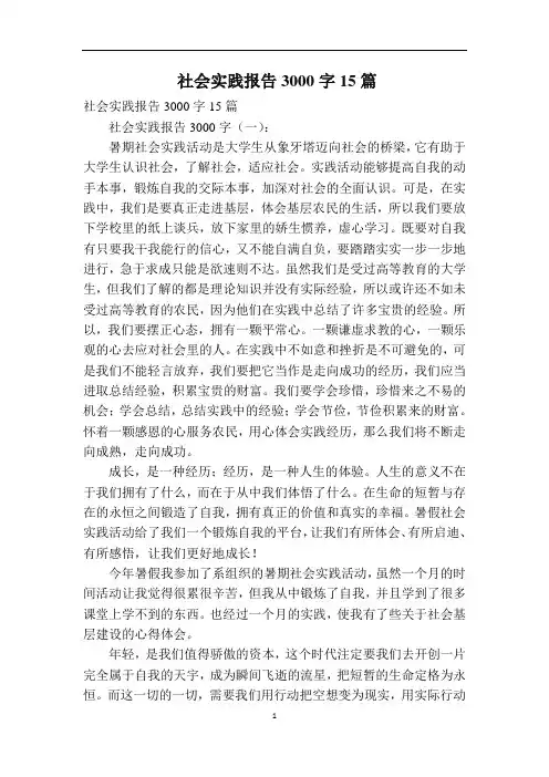 社会实践报告3000字15篇