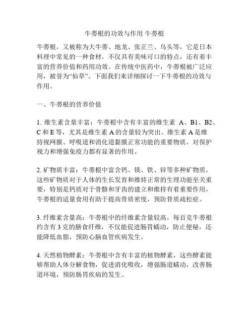 牛蒡根的功效与作用 牛蒡根